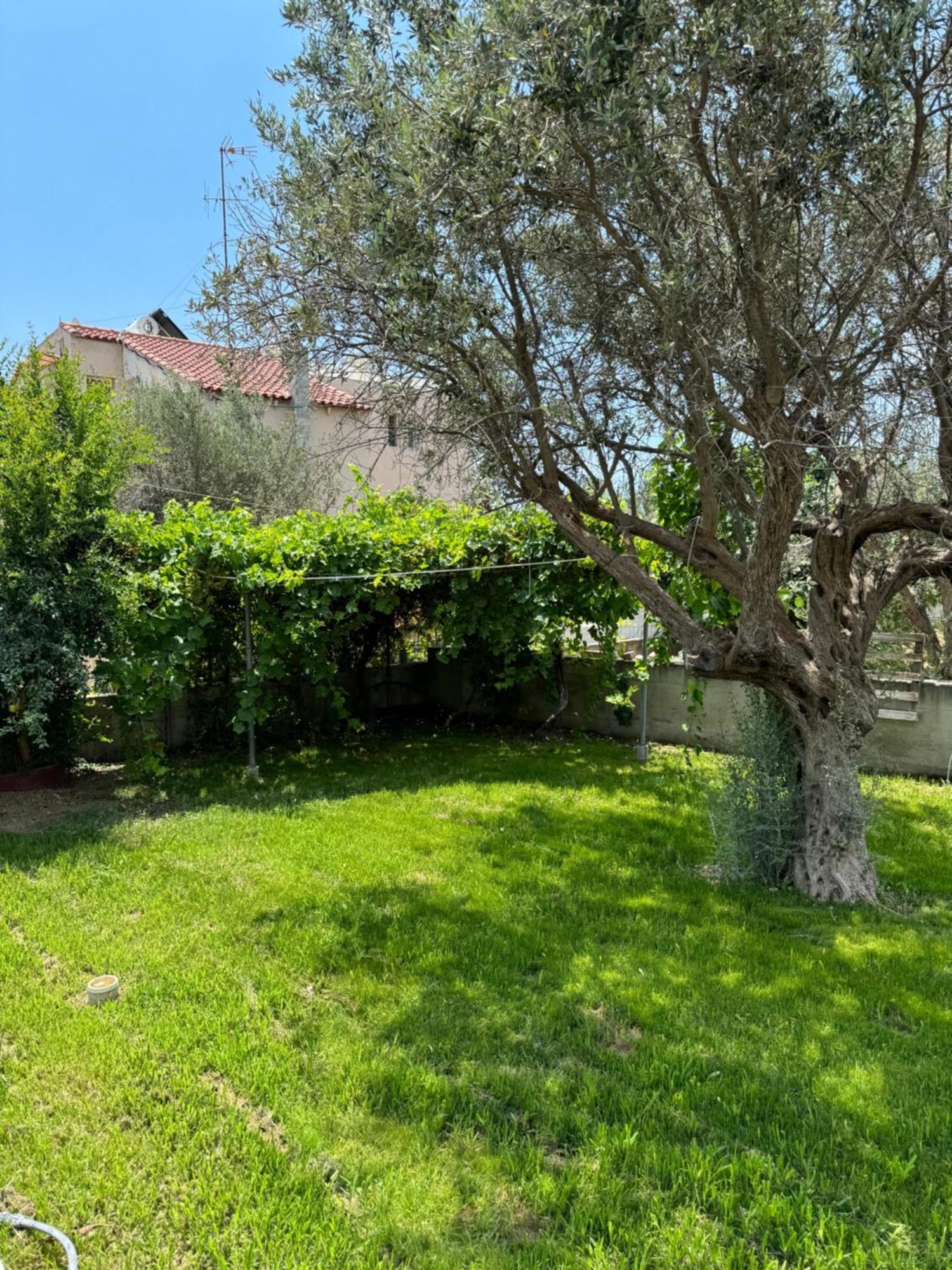 Apartamento Fotis House Afantou Exterior foto